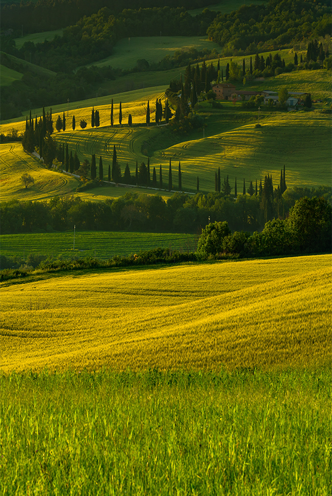 Visione Regionale
