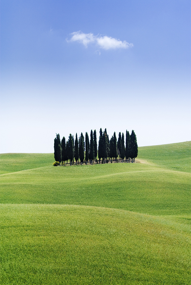 composizione